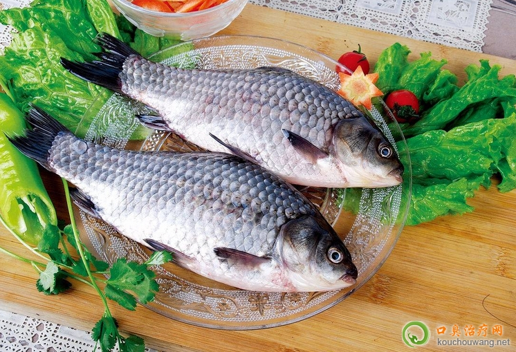 口臭可以吃鯽魚